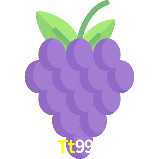 Tt999